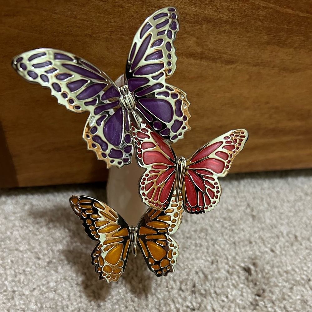 Butterfly wallflower plug